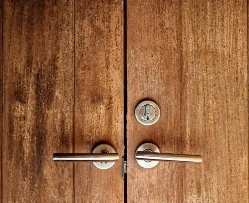 luxwooddoor2